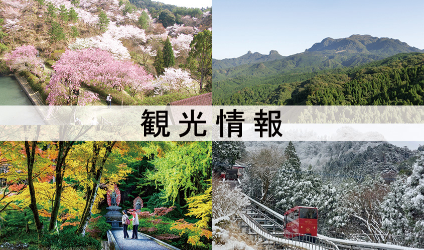 観光情報サイト