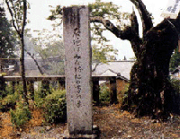 高浜年尾の句碑の画像