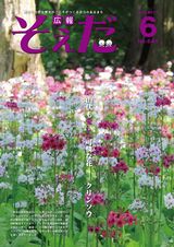 2015年6月号の画像