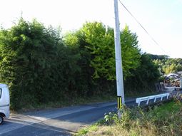 登録物件（空き地）（庄 No4）の画像1