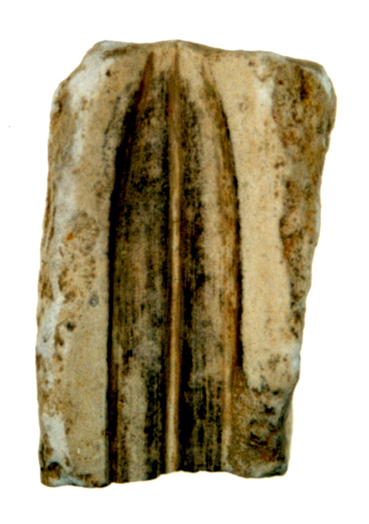 庄原遺跡から出土された青銅やりがんな鋳型の画像