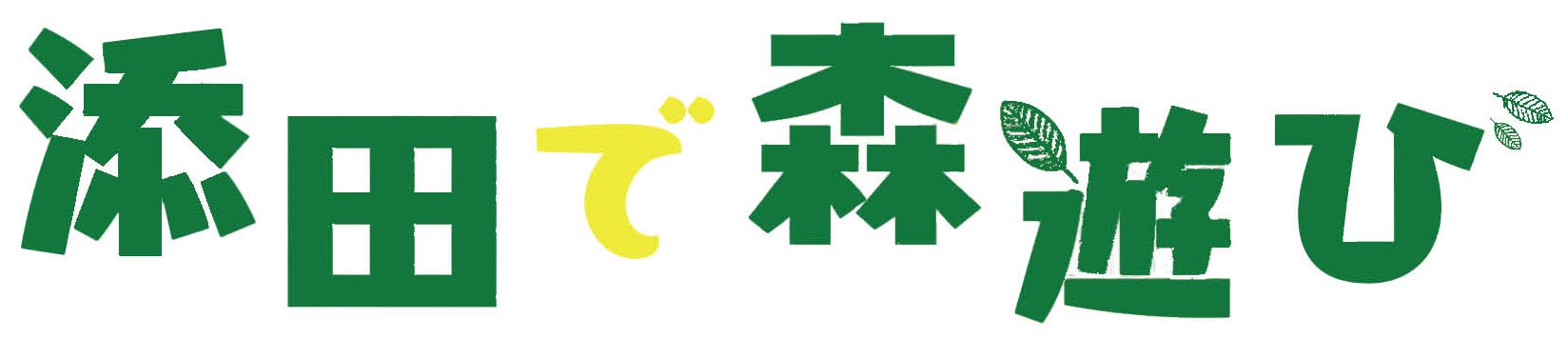 添田で森遊びの画像
