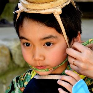 凛として、の写真