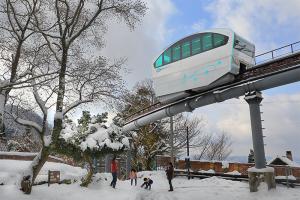 やっと出た青空、の写真