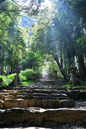 ランナーを迎える迎光、の写真  