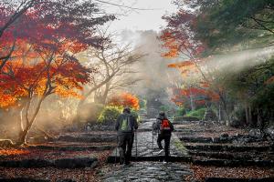 神の光に導かれて、の写真