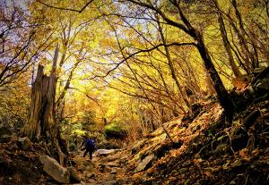 峰を目指して、の写真