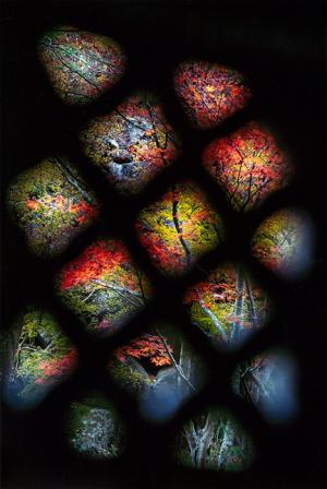 灯篭からの紅葉、の写真