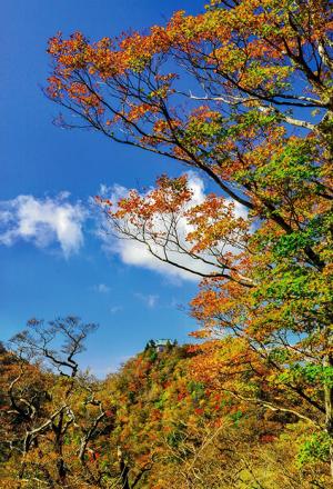 英彦山の秋、の写真
