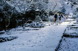 参道雪景、の写真