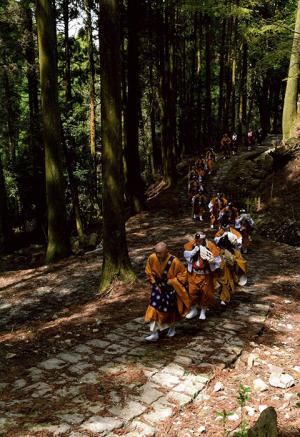 修行の道、の写真