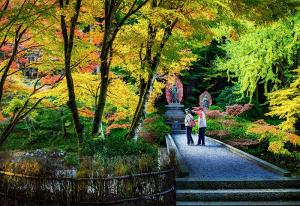 綺麗、こちらも綺麗です、の写真