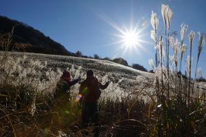 秋の陽光、の写真