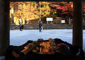 秋映え、の写真