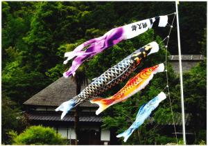 端午の節句、の写真