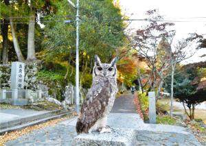 目が合ったヨ、の写真