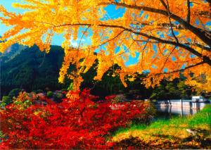 秋の日、の写真