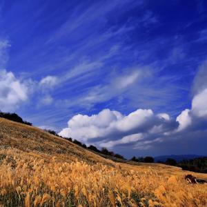 高原の秋、の写真