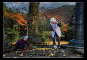 晩秋の朝、の写真