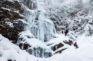 冬探し、の写真