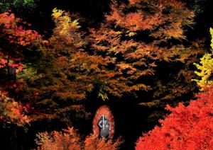 錦秋の不動明王、の写真