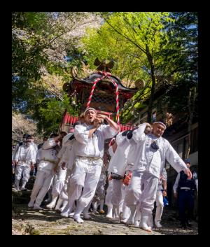 3年ぶりの御神幸祭、の写真
