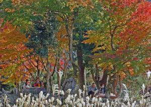 秋日和、の写真