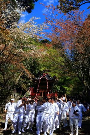 力を込めて参道を下る、の写真