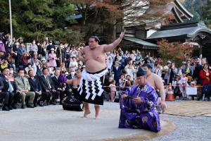 照ノ富士（土俵入り）、の写真