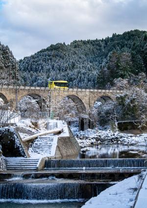 はじめての越冬、の写真