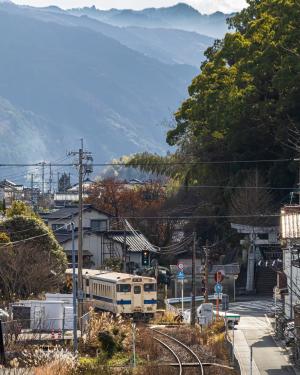 新春の西そえだ、の写真