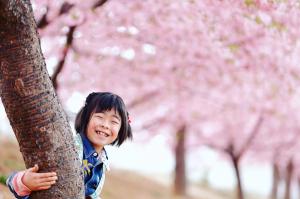 きれいに撮ってね、の写真