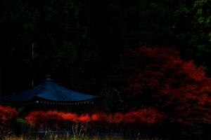 通りがかりのとある御堂、の写真